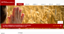 The new website on line